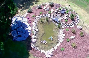 Koi Pond
